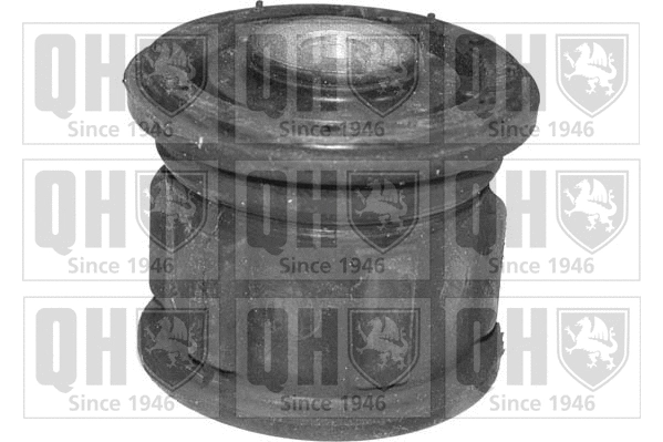 Mounting, control/trailing arm (EMS4104)