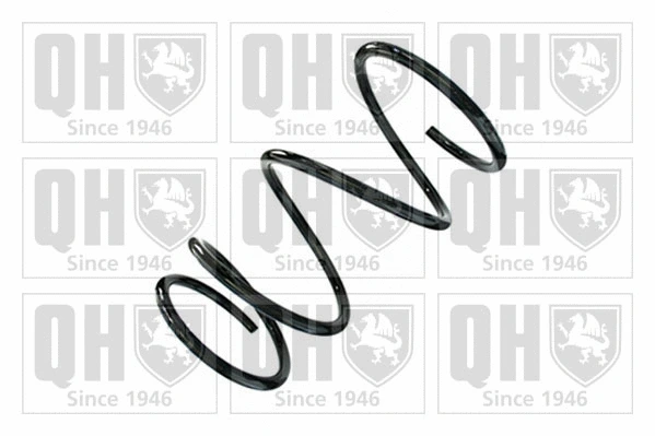 Suspension Spring (QCS8890)