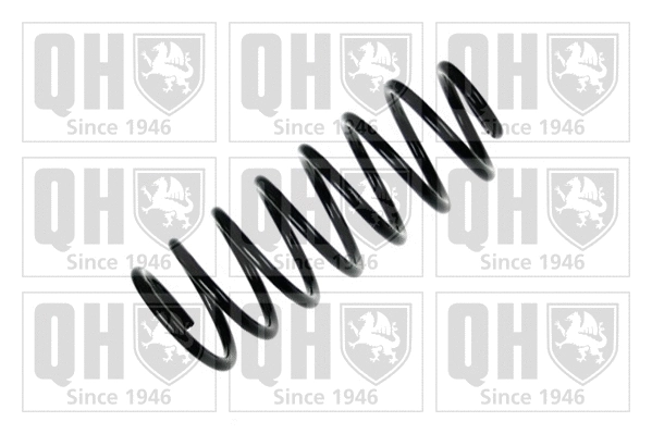 Suspension Spring (QCS8001)
