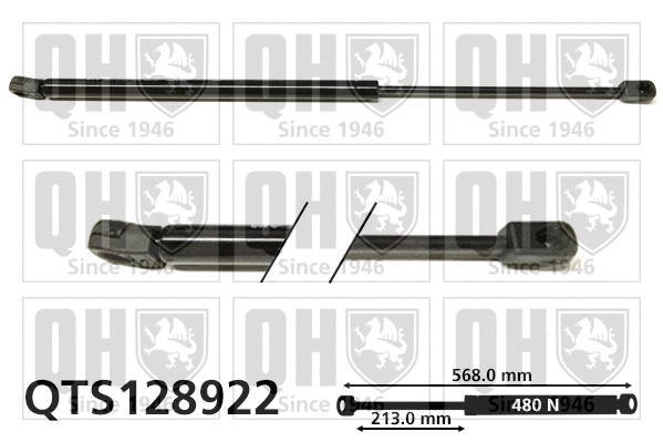 Gas Spring, boot/cargo area (QTS128922)