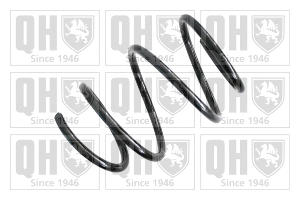 Suspension Spring (QCS5101)