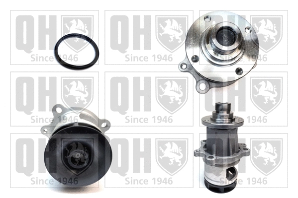 Water Pump, engine cooling (QCP2804)