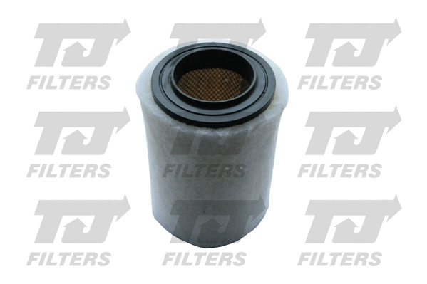 Air Filter (QFA0270)