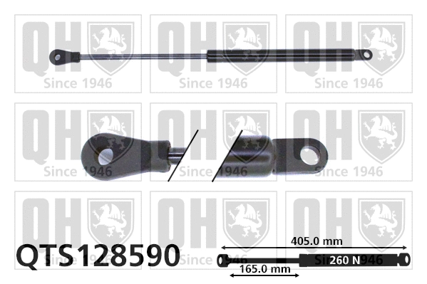 Gas Spring, boot/cargo area (QTS128590)