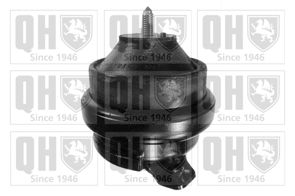 Mounting, engine (EM2224)