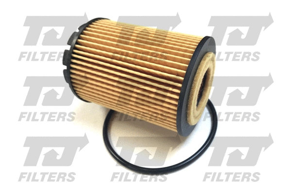 Oil Filter (QFL0339)