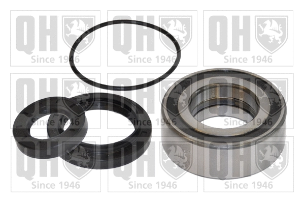 Wheel Bearing Kit (QWB864)