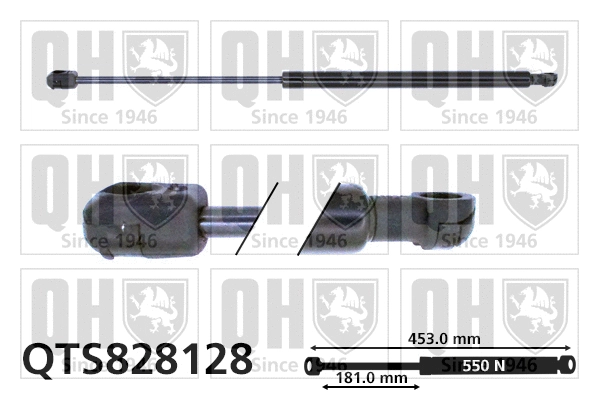 Gas Spring, boot/cargo area (QTS828128)