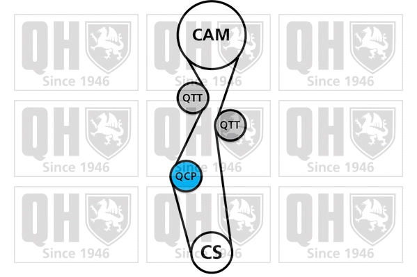 Timing Belt Kit (QBK894)