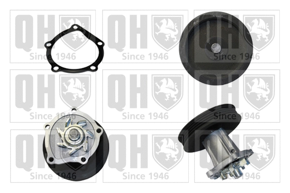 Water Pump, engine cooling (QCP3759)