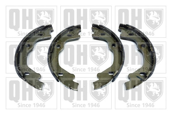 Brake Shoe Set (BS1206)