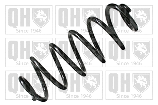 Suspension Spring (QCS6669)