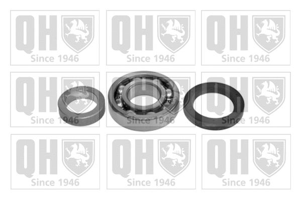 Wheel Bearing Kit (QWB448)