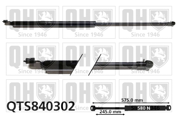 Gas Spring, boot/cargo area (QTS840302)