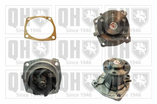Water Pump, engine cooling (QCP3619)