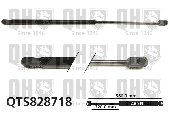 Gas Spring, boot/cargo area (QTS828718)