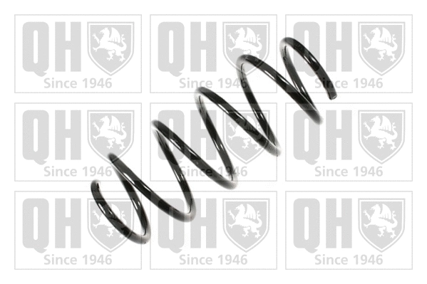 Suspension Spring (QCS6851)
