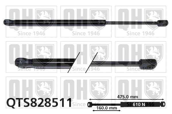 Gas Spring, boot/cargo area (QTS828511)