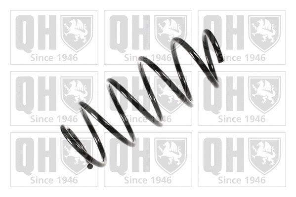 Suspension Spring (QCS5794)