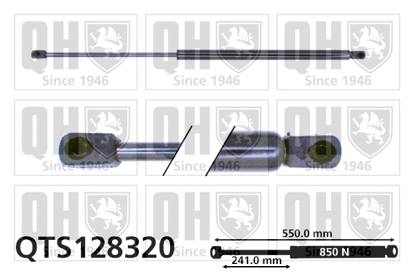 Gas Spring, boot/cargo area (QTS128320)