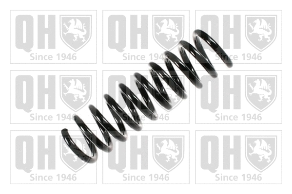 Suspension Spring (QCS7464)