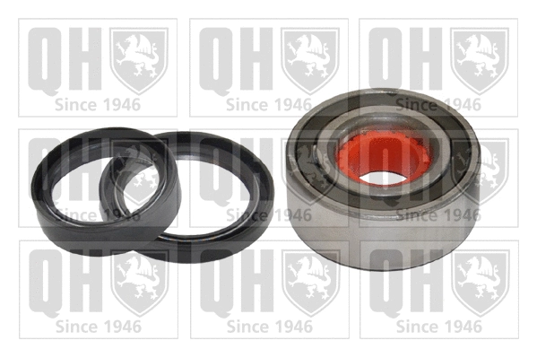 Wheel Bearing Kit (QWB309)