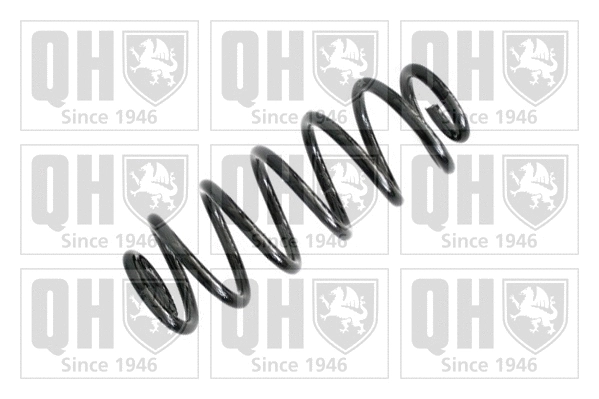 Suspension Spring (QCS6423)