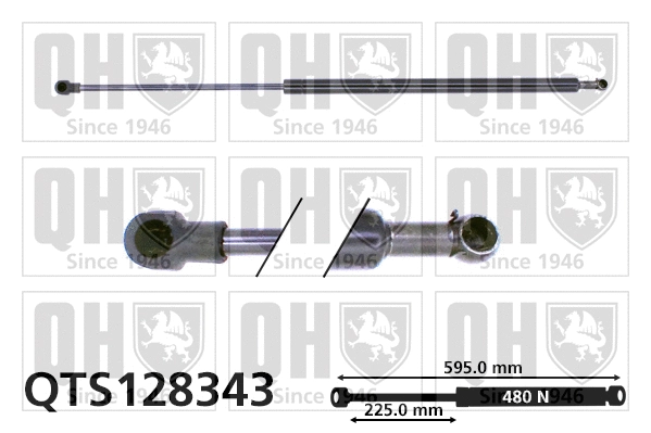 Gas Spring, boot/cargo area (QTS128343)