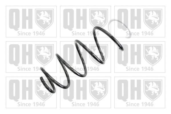 Suspension Spring (QCS5499)