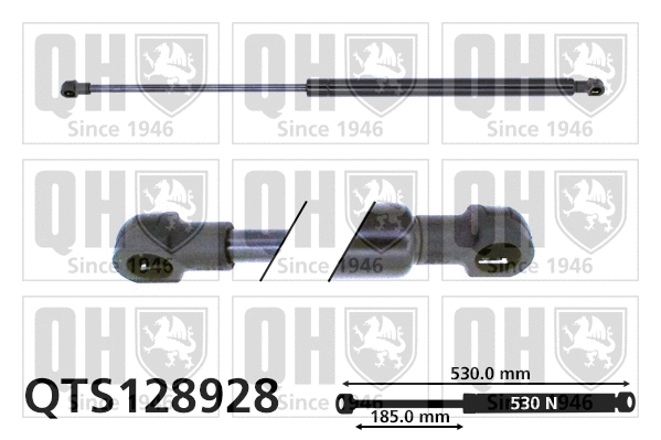 Gas Spring, boot/cargo area (QTS128928)