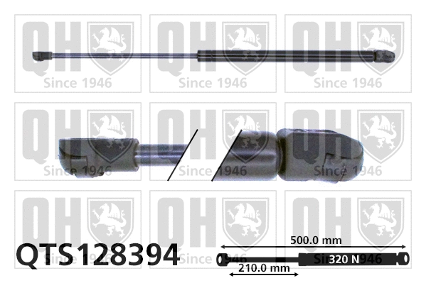 Gas Spring, boot/cargo area (QTS128394)