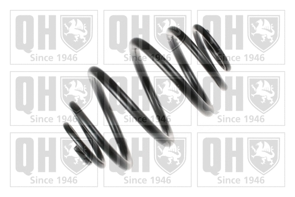 Suspension Spring (QCS8083)