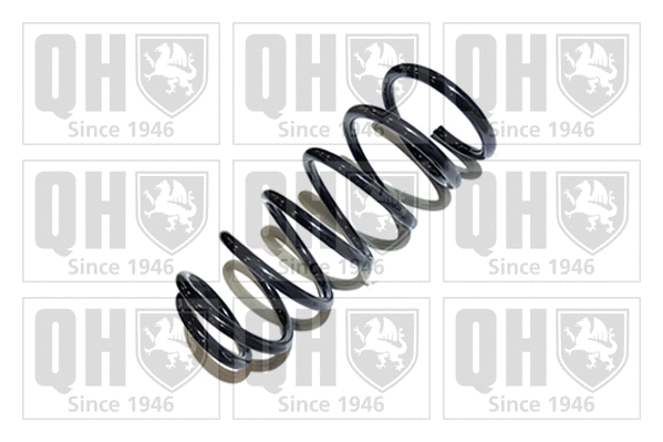 Suspension Spring (QCS7234)