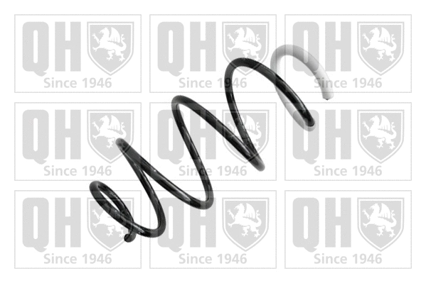 Suspension Spring (QCS8218)