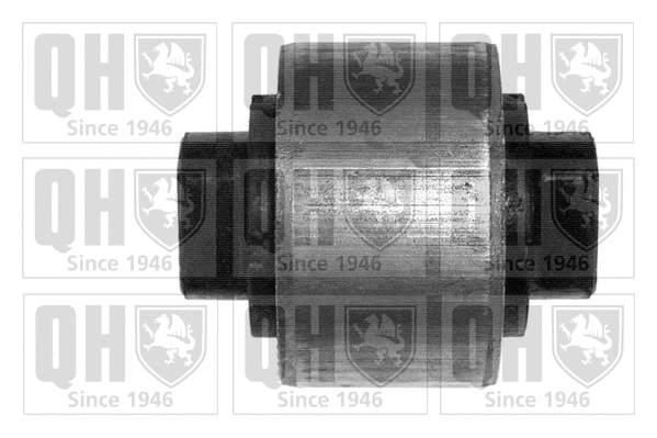 Mounting, control/trailing arm (EMS2692)