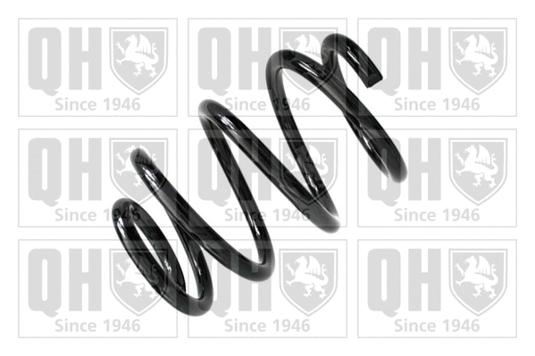 Suspension Spring (QCS5967)