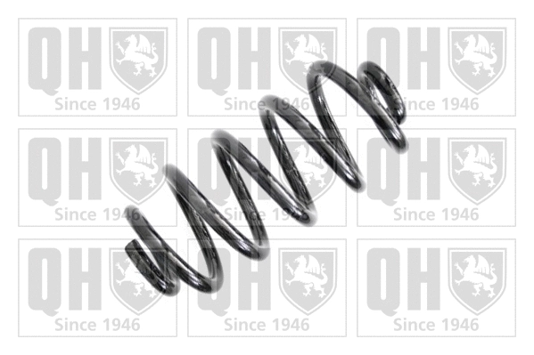 Suspension Spring (QCS6656)