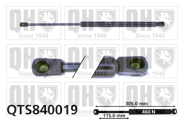 Gas Spring, boot/cargo area (QTS840019)