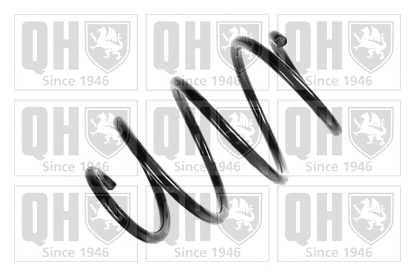 Suspension Spring (QCS7891)