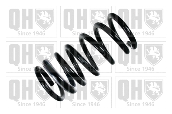 Suspension Spring (QCS7648)