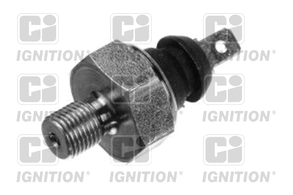 Oil Pressure Switch (XOPS55)