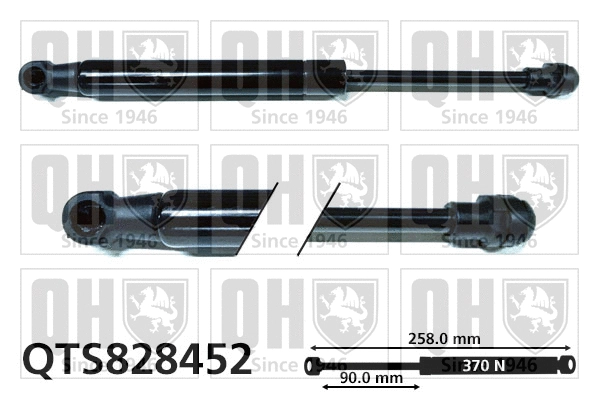 Gas Spring, boot/cargo area (QTS828452)