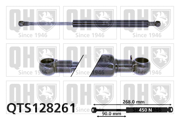 Gas Spring, boot/cargo area (QTS128261)