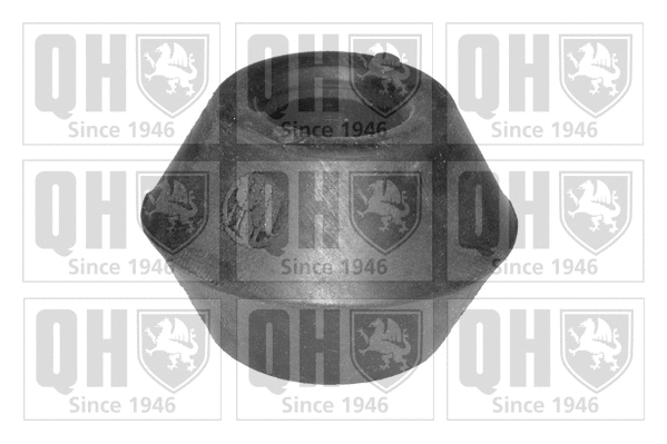 Mounting, control/trailing arm (EMS8102)