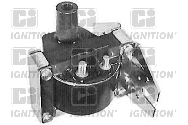 Ignition Coil (XIC8079)