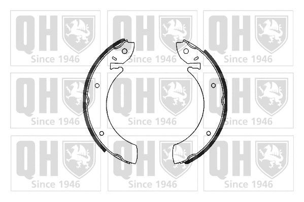 Brake Shoe Set (BS519)