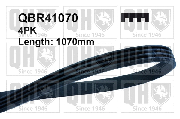 V-Ribbed Belt (QBR41070)