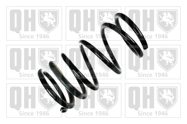 Suspension Spring (QCS6812)