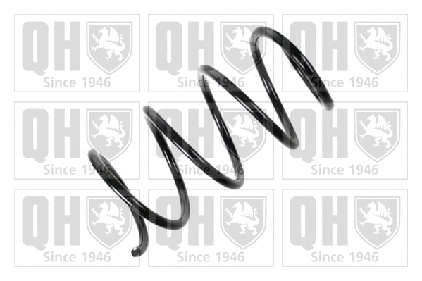 Suspension Spring (QCS7396)
