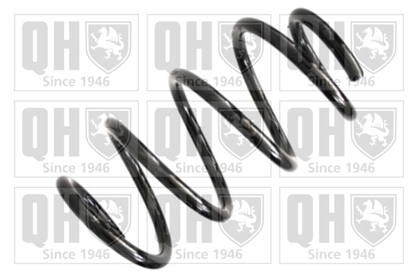 Suspension Spring (QCS8309)